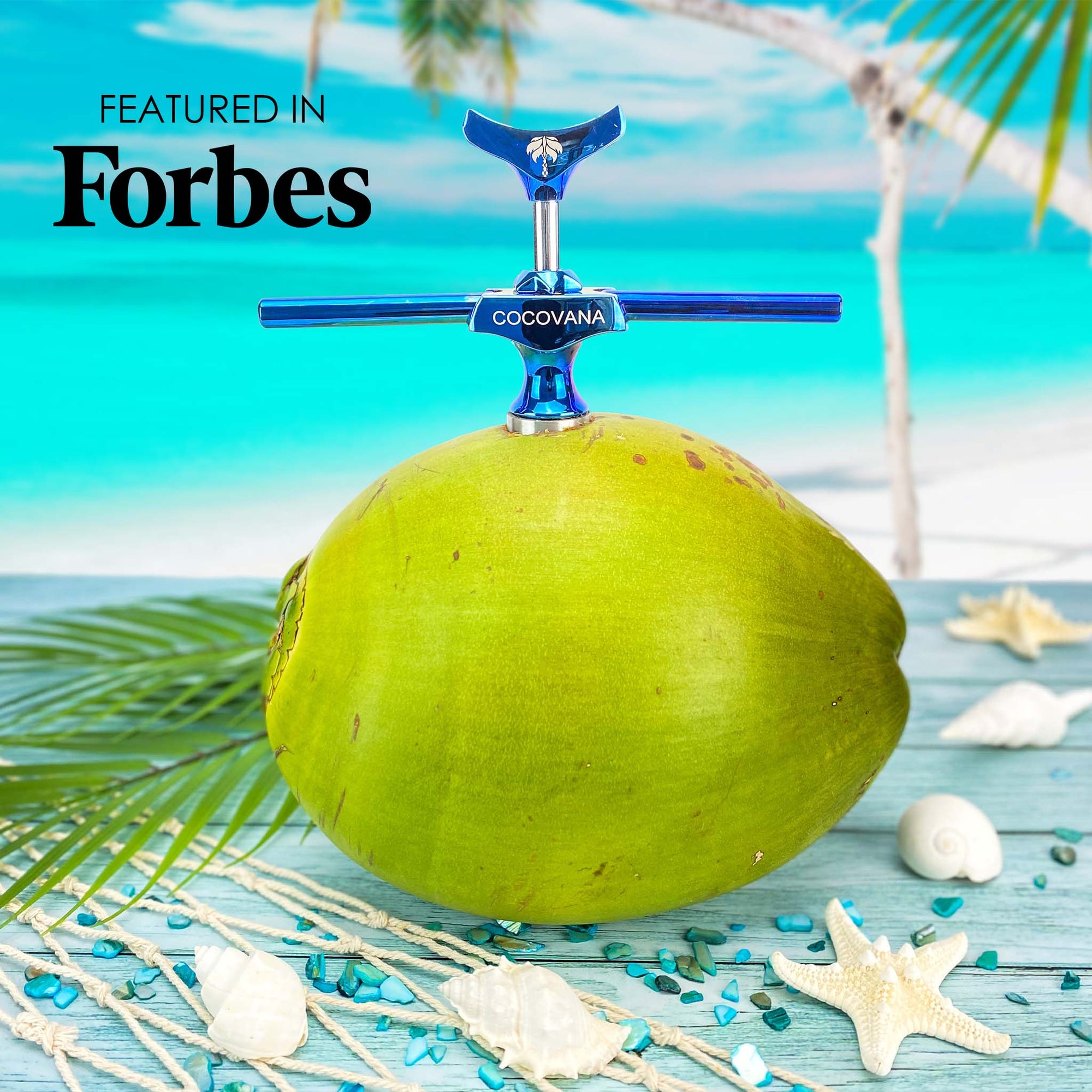 Cocovana Coconut Twist Green Beach Tropical Tree Forbes Magazine Ocean Sand Branches Tool Opener Blue Turquoise Steel Metal Stainless Blade Hole Saw Premium