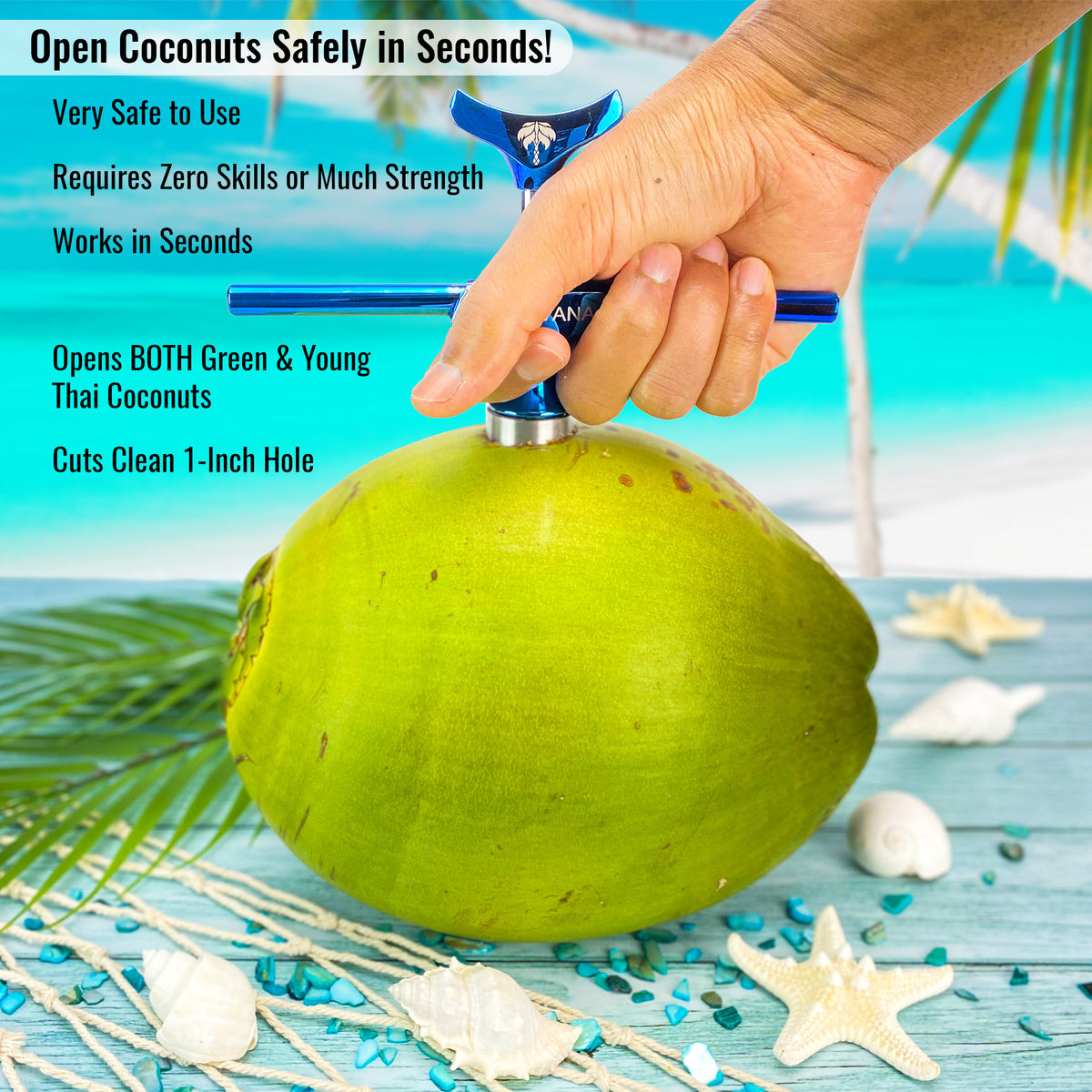 •	Cocovana Coconut Twist Green Beach Tropical Hand Grip Tree Ocean Sand Branches Tool Opener Blue Turquoise Steel Metal Stainless Blade Hole Saw Premium Seashell Shell